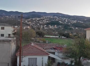 greece/volos/attraction/theofilos-museum-of-anakasia