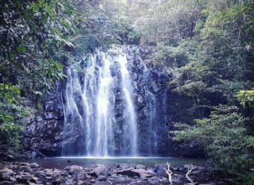 australia/atherton-tablelands/attraction/ellinjaa-falls