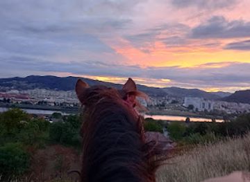 romania/ramnicu-valcea/attraction/dream-horse-ride