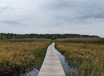 connecticut/litchfield-county/attraction/white-memorial-conservation-center
