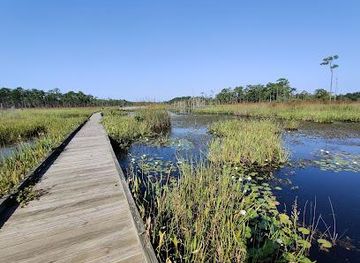 louisiana/slidell/attraction/big-branch-marsh-national-wildlife-refuge