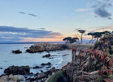 california/carmel-by-the-sea/attraction/perkins-park