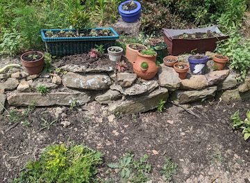 ohio/hocking-hills/attraction/fields-of-flowers