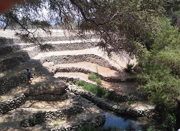 peru/south-coast/attraction/nazca-lines