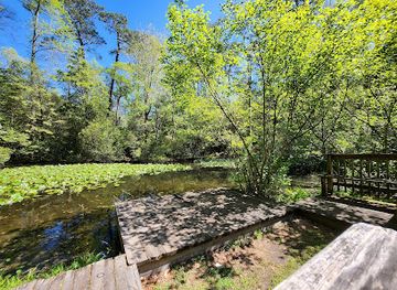 south-carolina/congaree-national-park/attraction/kalmia-gardens