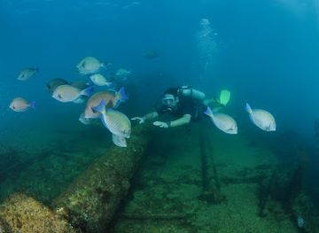 brazil/fernando-de-noronha/attraction/naufragio-do-porto
