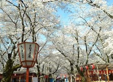 japan/nara/attraction/hirano-shrine