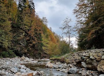romania/buila-vanturarita-national-park/attraction/cascada-luncavat