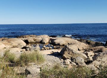 rhode-island/narragansett-beach/attraction/black-point-trailhead