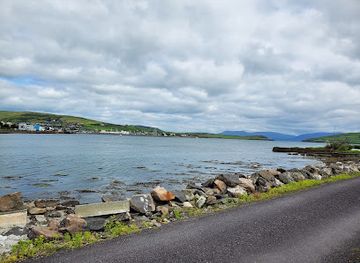 ireland/county-kerry/attraction/kingdom-falconry