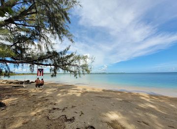 puerto-rico/culebra/attraction/puerto-rico-tree-swing