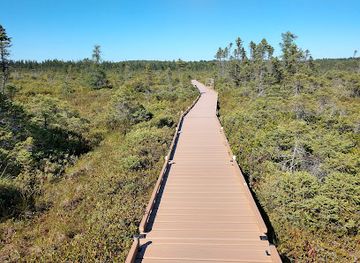 maine/bangor/attraction/bangor-city-forest