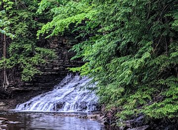 ohio/northeast-ohio/attraction/sulphur-springs-picnic-area