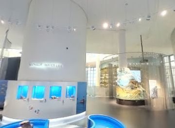 iceland/reykjavik-capital-area/attraction/natturuminjasafn-islands