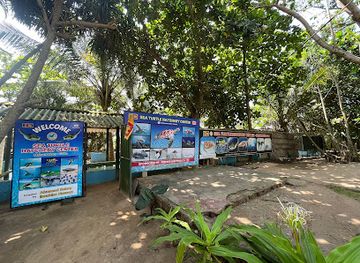 sri-lanka/galle-district/attraction/sea-turtle-hatchery-centre-mahamodara