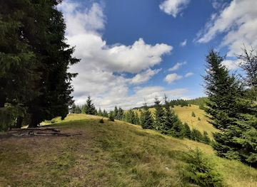 ukraine/hoverla-mountain/attraction/Ugorski-skeli