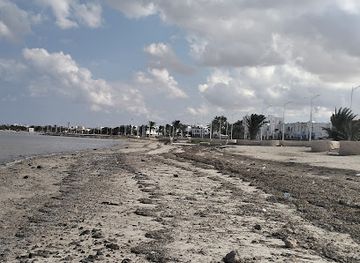 tunisia/djerba-island/attraction/plage-face-ile-des-flamants