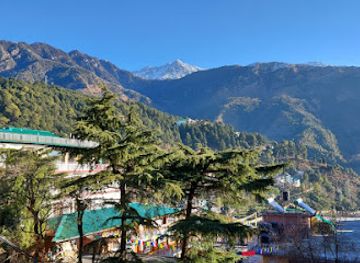 india/mcleodganj/attraction/trek-ace-triund-trek