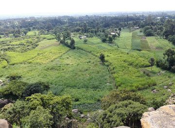 kenya/elgeyo-escarpment/attraction/mwibale-historical-rock