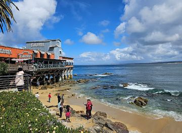 california/monterey/cannery-row/attraction/sanctuary