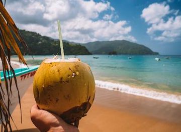 trinidad-and-tobago/san-fernando/attraction/island-experiences-tours-charters-trinidad-tobago