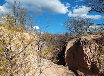 arizona/huachuca-mountains/attraction/bureau-of-land-management-san-pedro-riparian-national-conservation-area-administrative-office