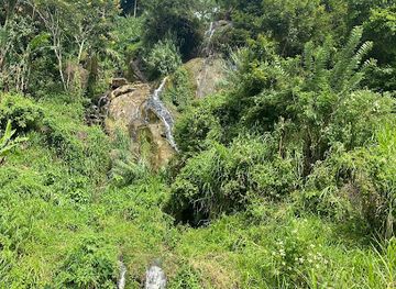 sri-lanka/moneragala-district/attraction/gotuwala-ella