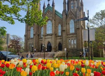 canada/charlottetown/attraction/st-dunstan-s-basilica