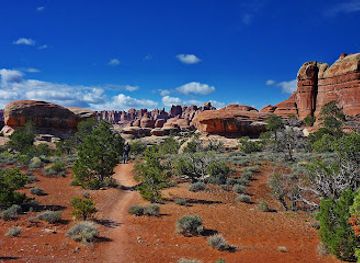 utah/canyonlands-national-park/attraction/needles-district-canyonlands