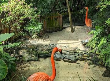 florida/key-west/attraction/the-key-west-butterfly-and-nature-conservatory