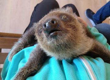 missouri/ozarks/attraction/sunrise-beach-safari