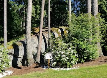 washington/everett/attraction/lake-stevens-monster