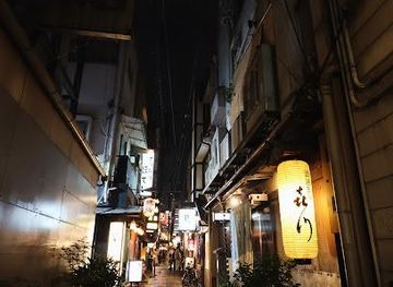 japan/osaka/attraction/hozenji-yokocho