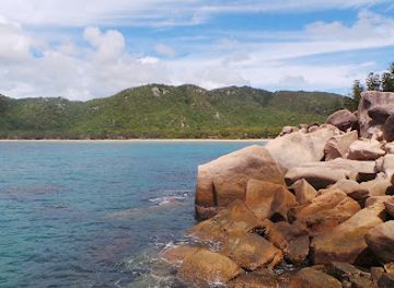 australia/magnetic-island/attraction/rock-wallabies