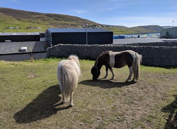 united-kingdom/shetland/attraction/scalloway-museum