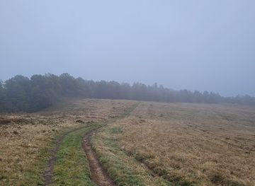 ukraine/dragobrat/attraction/Polonina-Zasovi