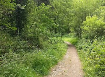 ireland/county-tipperary/attraction/bansha-forest-recreational-area