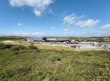 netherlands/texel-island/attraction/ecomare