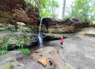 south-carolina/congaree-national-park/attraction/peachtree-rock-heritage-preserve