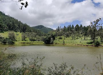 sri-lanka/kandy-district/attraction/belwood-estate