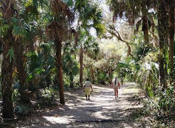 florida/nature-coast/attraction/myakkahatchee-creek-environmental-park