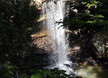 pennsylvania/ohiopyle-state-park/attraction/meadow-run-trailhead