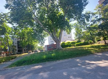 slovenia/celje/attraction/platana-pri-hotelu-celeia