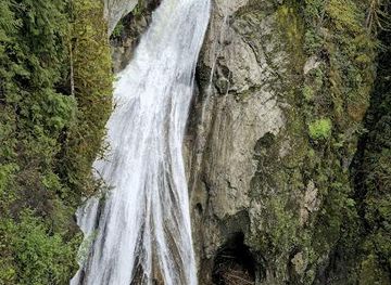 washington/federal-way/attraction/twin-falls-natural-area