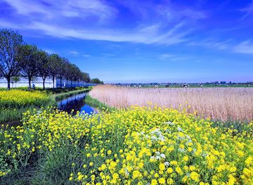 netherlands/delfland/attraction/het-kraaiennest