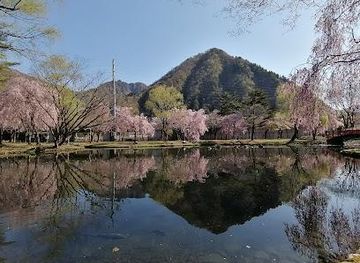 japan/echigo/attraction/yuzawa