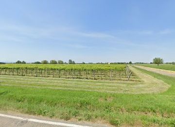 italy/emilia-romagna-riviera/attraction/pilastrino-votivo-via-castagnolo-budrie-bo