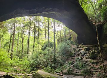 alabama/bankhead-national-forest/attraction/natural-bridge-park