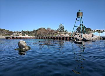 denmark/the-north-sea-islands/attraction/the-north-sea-oceanarium