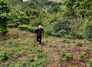 india/kaziranga-national-park/attraction/hati-pithi